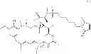 Fig. 124 - Maytansinoid derivatives
