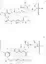 Fig. 28 - Maytansinoid derivatives