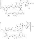 Fig. 29 - Maytansinoid derivatives