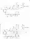 Fig. 32 - Maytansinoid derivatives