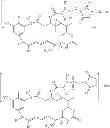Fig. 33 - Maytansinoid derivatives