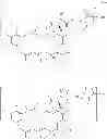 Fig. 37 - Maytansinoid derivatives