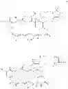 Fig. 49 - Maytansinoid derivatives