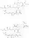 Fig. 52 - Maytansinoid derivatives