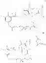 Fig. 53 - Maytansinoid derivatives