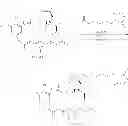 Fig. 64 - Maytansinoid derivatives