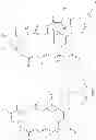 Fig. 65 - Maytansinoid derivatives