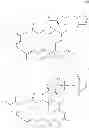 Fig. 67 - Maytansinoid derivatives