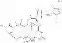Fig. 68 - Maytansinoid derivatives