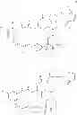 Fig. 74 - Maytansinoid derivatives