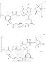 Fig. 76 - Maytansinoid derivatives