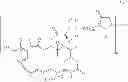 Fig. 79 - Maytansinoid derivatives
