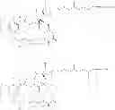 Fig. 90 - Maytansinoid derivatives
