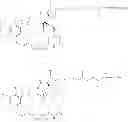 Fig. 92 - Maytansinoid derivatives