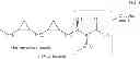 Fig. 02 - Methods for pathogen detection and disease treatment
