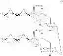 Fig. 14 - Methods for pathogen detection and disease treatment