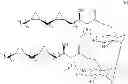 Fig. 16 - Methods for pathogen detection and disease treatment
