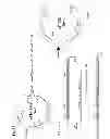 Fig. 03 - Method for increasing ETEC CS6 antigen presentation on cell surface and products obtainable thereof
