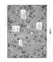 Fig. 04 - Stable three-phased emulsions