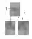 Fig. 10 - Continuous culturing device