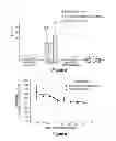 Fig. 05 - Anti-proliferative and anti-inflammatory agent combination for treatment of vascular disorders with an implantable medical device