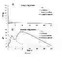 Fig. 08 - COMPOUNDS AND COMPOSITIONS FOR USE IN THE TREATMENT AND PREVENTION OF LUNG AND BRAIN CANCER AND PRECANCEROUS CONDITIONS THEREOF