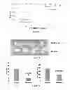 Fig. 09 - COMPOUNDS AND COMPOSITIONS FOR USE IN THE TREATMENT AND PREVENTION OF LUNG AND BRAIN CANCER AND PRECANCEROUS CONDITIONS THEREOF
