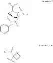 Fig. 17 - COMPOUNDS AND COMPOSITIONS FOR USE IN THE TREATMENT AND PREVENTION OF LUNG AND BRAIN CANCER AND PRECANCEROUS CONDITIONS THEREOF