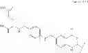 Fig. 24 - COMPOUNDS AND COMPOSITIONS FOR USE IN THE TREATMENT AND PREVENTION OF LUNG AND BRAIN CANCER AND PRECANCEROUS CONDITIONS THEREOF
