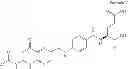 Fig. 25 - COMPOUNDS AND COMPOSITIONS FOR USE IN THE TREATMENT AND PREVENTION OF LUNG AND BRAIN CANCER AND PRECANCEROUS CONDITIONS THEREOF