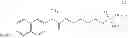 Fig. 62 - COMPOUNDS AND COMPOSITIONS FOR USE IN THE TREATMENT AND PREVENTION OF LUNG AND BRAIN CANCER AND PRECANCEROUS CONDITIONS THEREOF