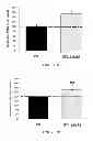Fig. 05 - Compositions for treating CMT and related disorders
