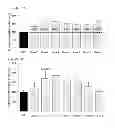 Fig. 06 - Compositions for treating CMT and related disorders