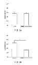 Fig. 03 - Method and use of nano-scale devices for reduction of tissue injury in ischemic and reperfusion injury