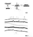 Fig. 02 - METHOD FOR GENERATION OF NANOPARTICLES COMPOSITE FILMS AND FILMS MADE USING SUCH A METHOD