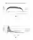 Fig. 06 - Modular biocompatible materials for medical devices and uses thereof