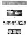 Fig. 02 - EDIBLE COMPOSITION COMPRISING CELLULOSE ETHER AND ITS USE AS FAT SUBSTITUTE IN DAIRY PRODUCTS