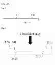Fig. 02 - Pressure-sensitive adhesive