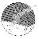 Fig. 01 - RIBBED WOVEN MATERIAL