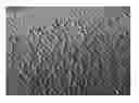 Fig. 01 - Chiral liquid crystal polymer layer or pattern comprising randomly distributed craters therein