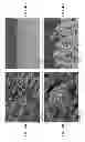 Fig. 04 - METHODS OF COATING A SURFACE AND ARTICLES WITH COATED SURFACE