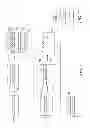 Fig. 08 - Patterned structured transfer tape