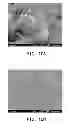 Fig. 11 - Composite electrode material of lithium secondary battery and lithium secondary battery