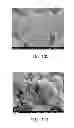 Fig. 12 - Composite electrode material of lithium secondary battery and lithium secondary battery