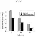 Fig. 07 - ELECTROLYTE ADDITIVE AND ELECTROLYTE INCLUDING SAME AND LITHIUM RECHARGEABLE BATTERY INCLUDING ELECTROLYTE