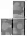 Fig. 07 - High capacity cathode material with stabilizing nanocoatings