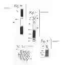 Fig. 05 - SOFC hot box components