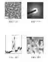 Fig. 04 - Electrochemical device including amorphous metal oxide