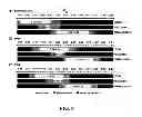 Fig. 09 - Photopatternable imaging layers for controlling block copolymer microdomain orientation