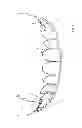 Fig. 02 - Guidance element for a tooth